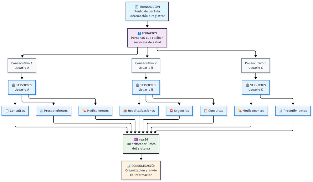 Flujo de la plantilla de carga masiva de RIPS