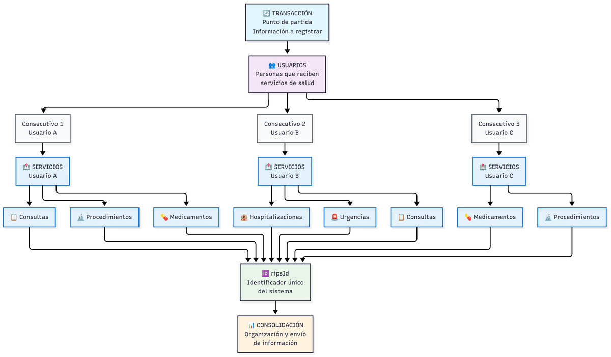 Flujo de la plantilla de carga masiva de RIPS