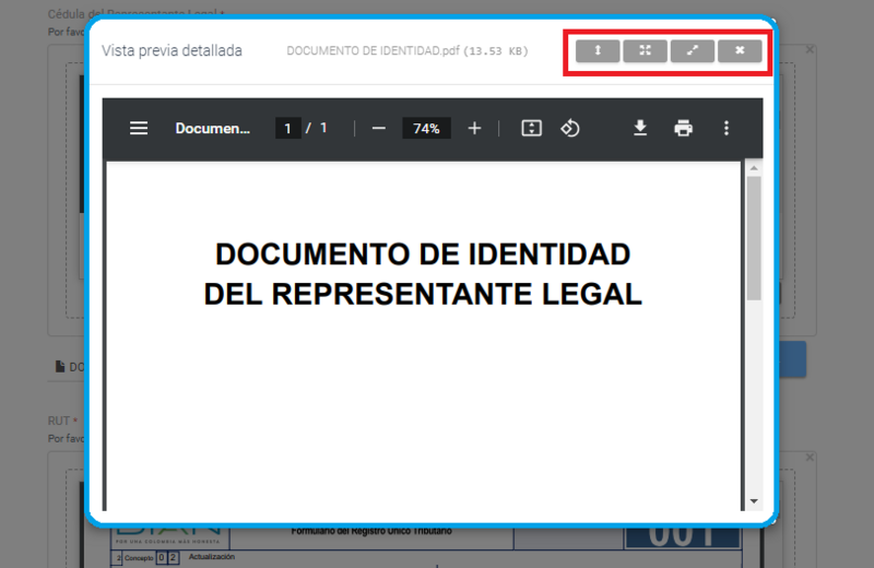 Archivo:Visualización del documento de identidad de RL.png